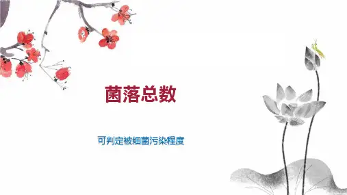 菌落总数    