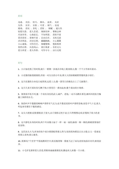 素材积累：描写小动物的好词好句积累
