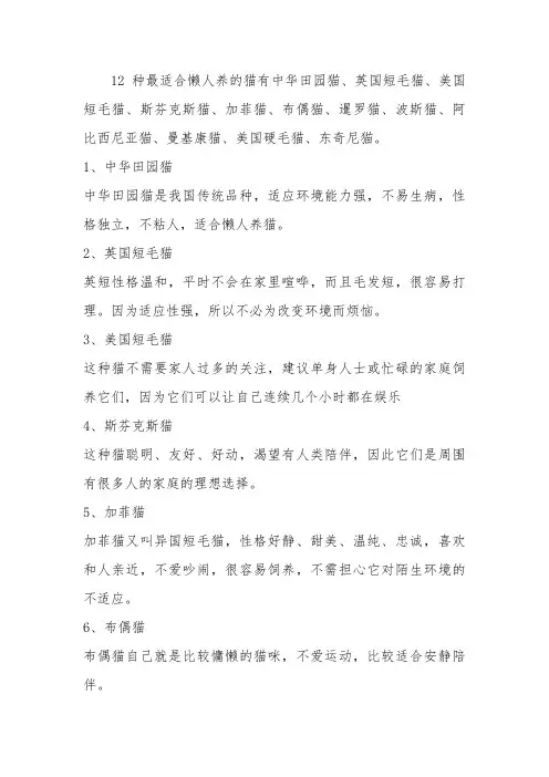 12种最适合懒人养的猫