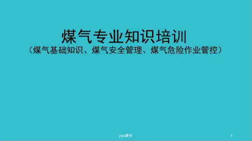煤气基础知识培训ppt课件