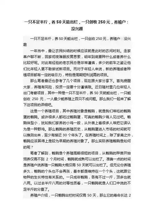 一只不足半斤，养50天能出栏，一只创收250元，养殖户：没兴趣