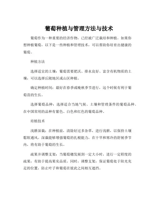 葡萄种植与管理方法与技术