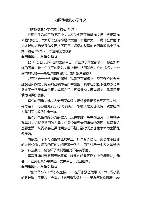向国旗敬礼小学作文（精选20篇）