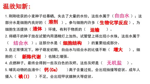 人教版生物必修一2.3 细胞中的糖类和脂质  (共24张PPT)