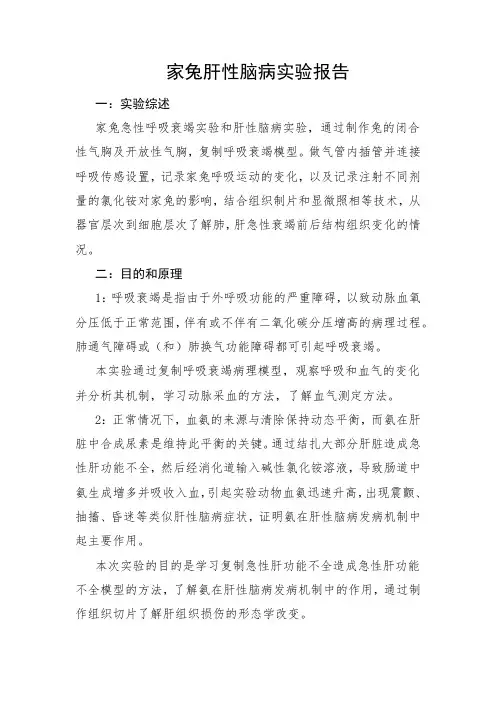 家兔肝性脑病实验报告