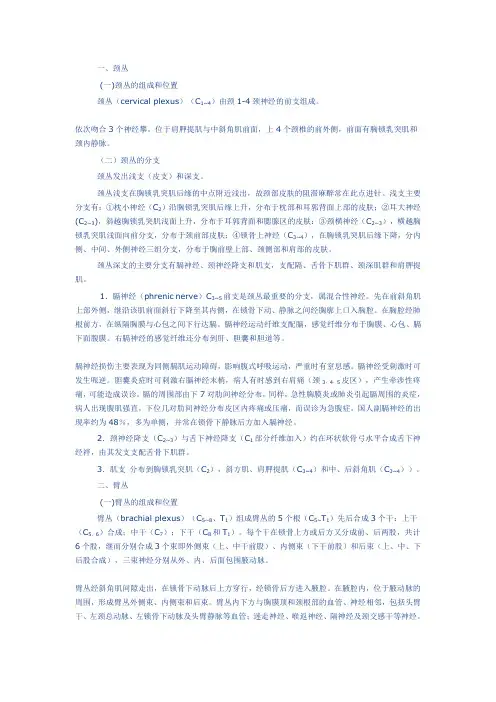 脊神经体表支配与定位诊断.doc