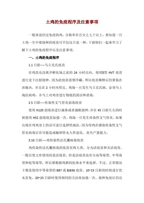 土鸡的免疫程序及注意事项