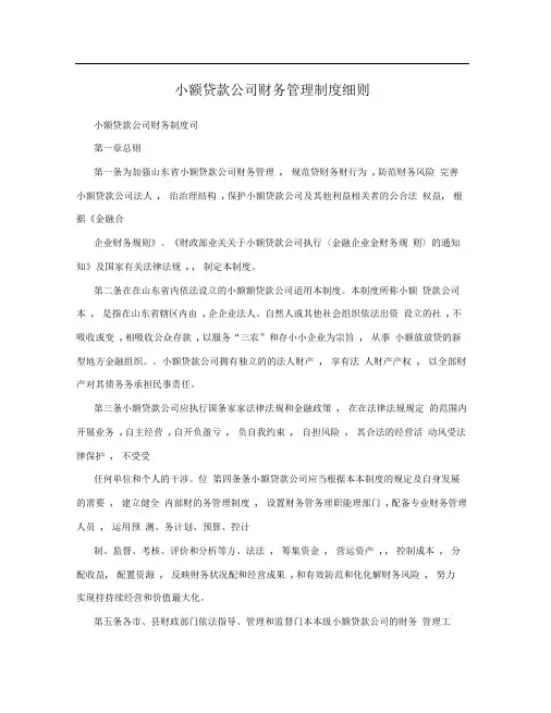 小额贷款公司财务管理制度细则