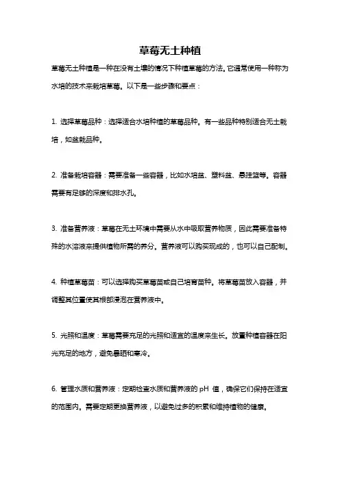 草莓无土种植