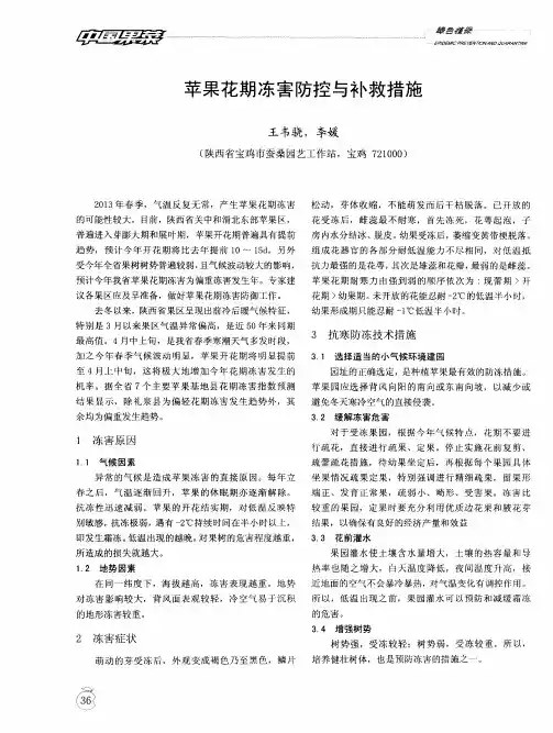 苹果花期冻害防控与补救措施