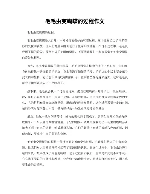 毛毛虫变蝴蝶的过程作文