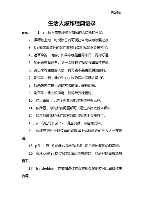生活大爆炸经典语录