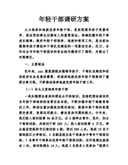 年轻干部调研方案