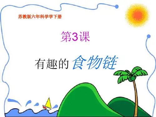 六年科学下册《有趣的食物链》公开课