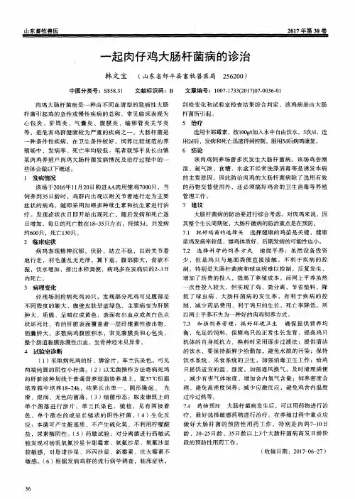 一起肉仔鸡大肠杆菌病的诊治