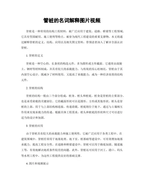 管桩的名词解释图片视频