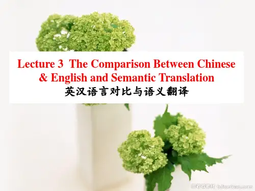第三讲 英汉语言对比与翻译