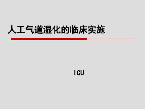 气道湿化 ppt课件