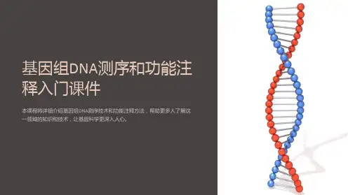 《基因组DNA测序和功能注释入门课件》