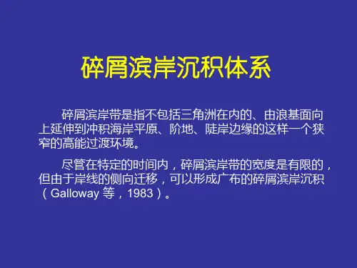 碎屑滨岸沉积体系