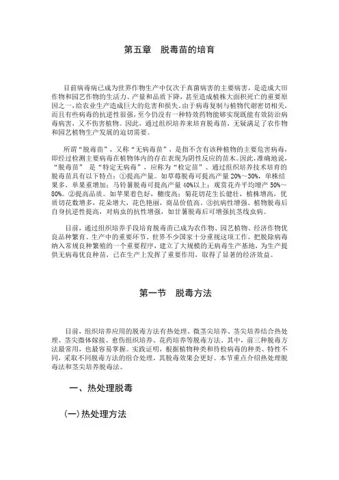 第五章  脱毒苗的培育