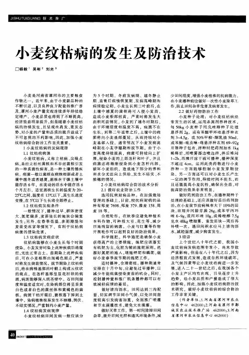 小麦纹枯病的发生及防治技术