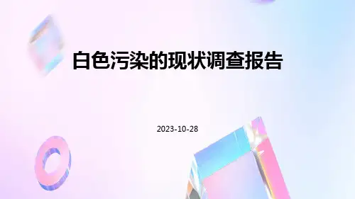 白色污染的现状调查报告