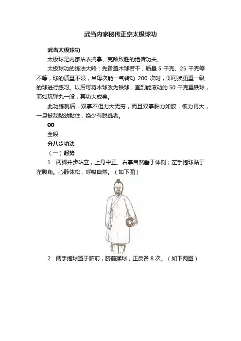 武当内家秘传正宗太极球功