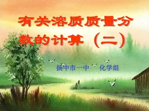 有关溶质质量分数的计算(二)