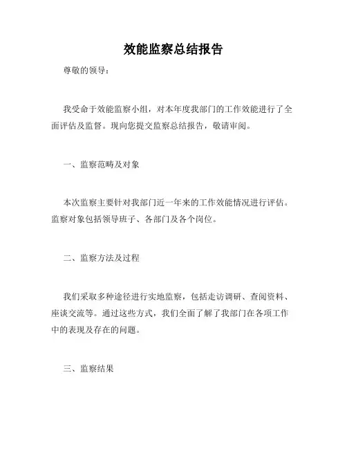 效能监察总结报告