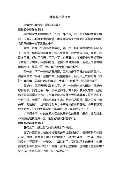 墙角的小草作文（精选33篇）