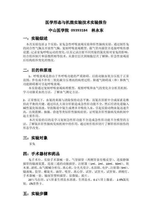 生理实验家兔呼吸衰竭和肝性脑病实验报告