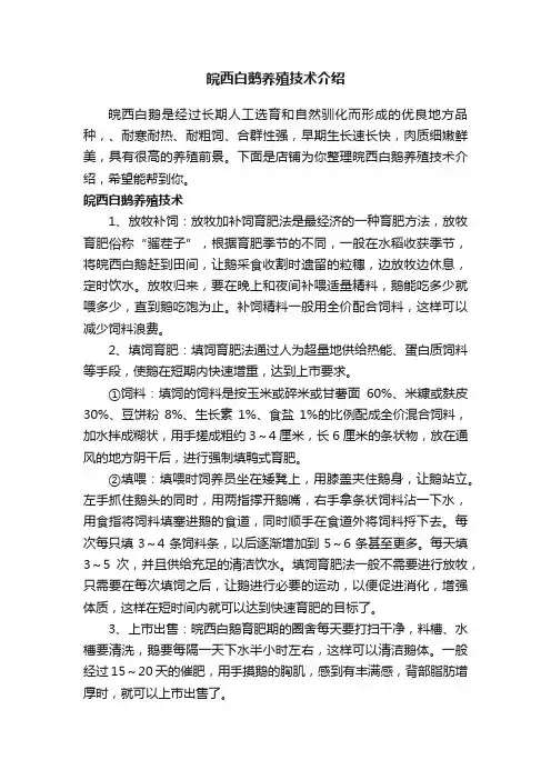皖西白鹅养殖技术介绍