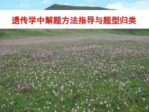 高三生物专题复习遗传与变异实验设计课件