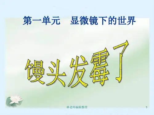 苏教小学科学六上《1.3.馒头发霉了》PPT课件(4)