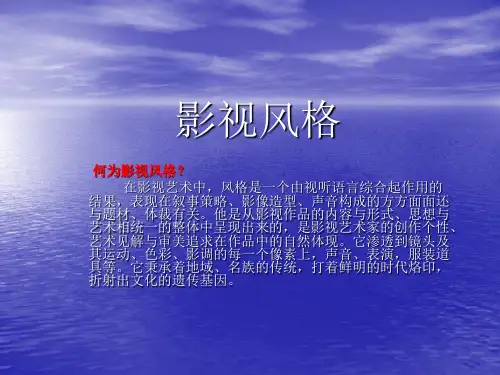 影视风格