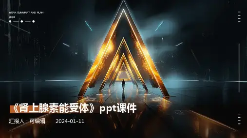 《肾上腺素能受体》PPT课件