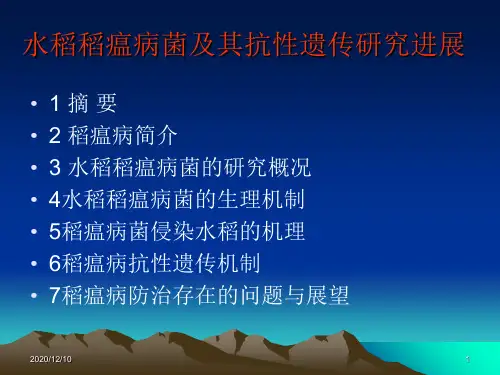 吴珍勇_水稻稻瘟病菌及其抗性遗传研究进展PPT教学课件