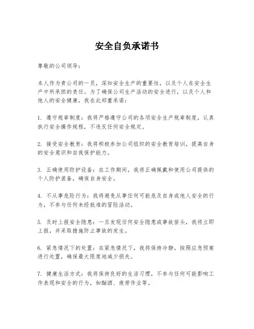 安全自负承诺书