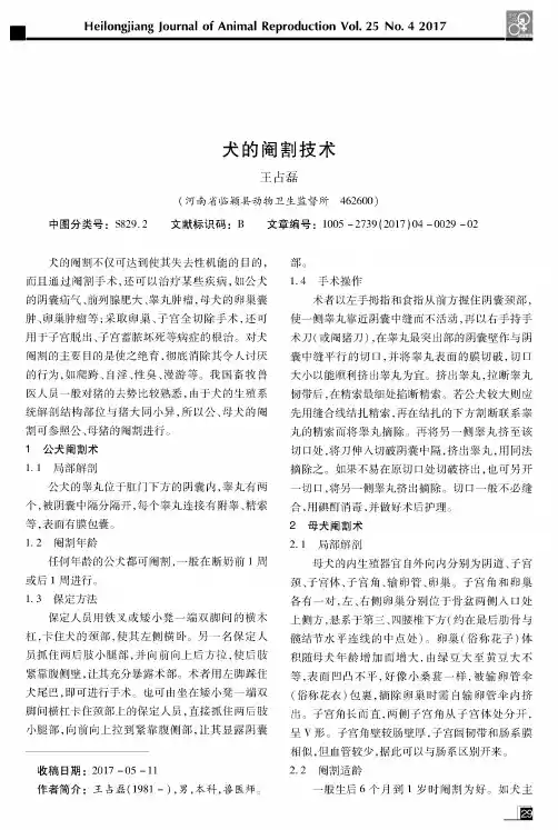 犬的阉割技术