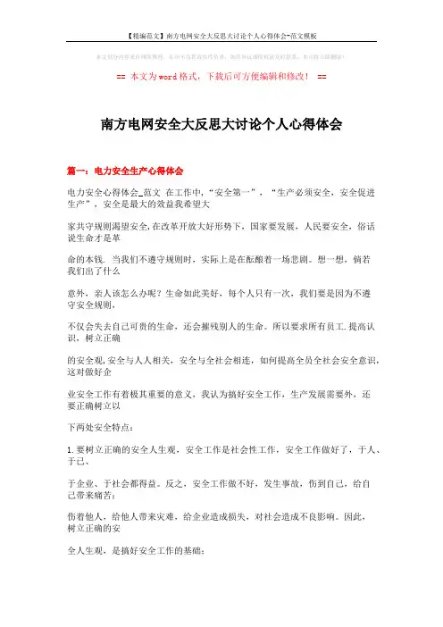 【精编范文】南方电网安全大反思大讨论个人心得体会-范文模板 (17页)
