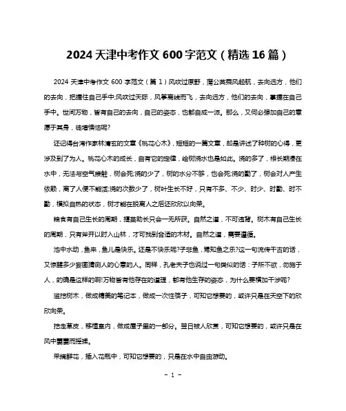 2024天津中考作文600字范文(精选16篇)