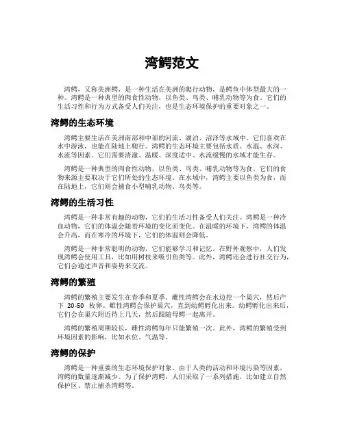 湾鳄范文[新]