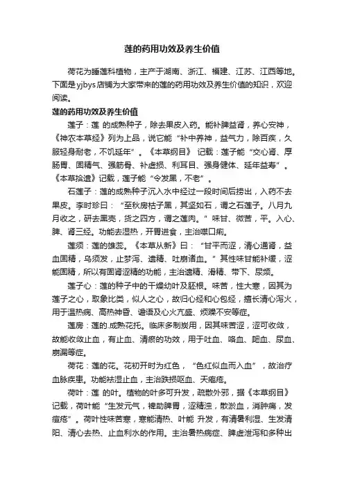 莲的药用功效及养生价值