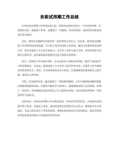 东软试用期工作总结
