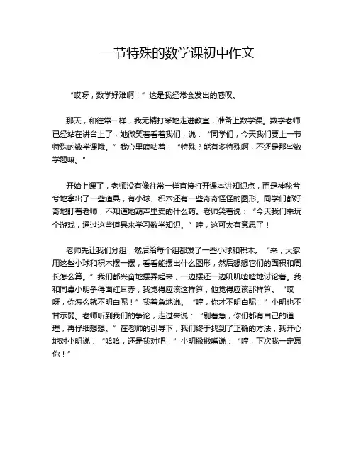 一节特殊的数学课初中作文