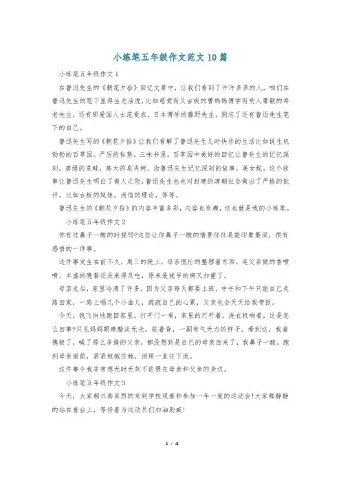 小练笔五年级作文范文10篇
