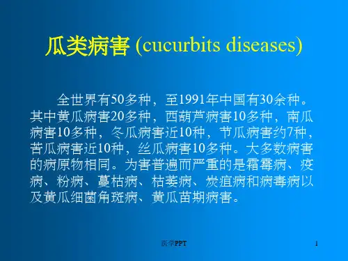《瓜类病害学习资料》PPT课件