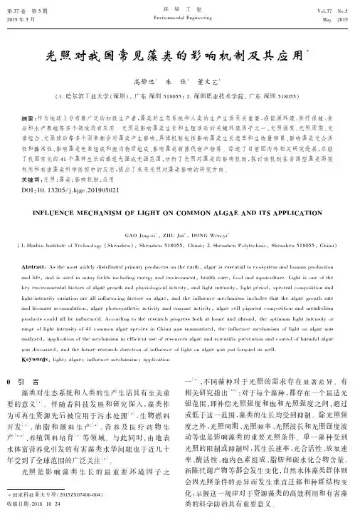 光照对我国常见藻类的影响机制及其应用