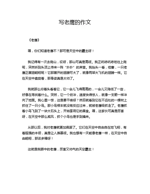 写老鹰的的优秀作文